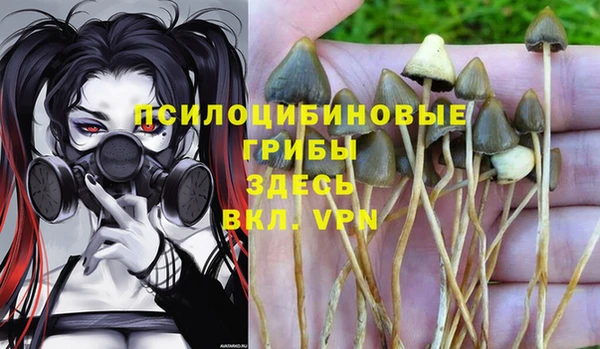 не бодяженный Горно-Алтайск