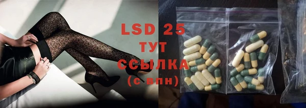 spice Горняк