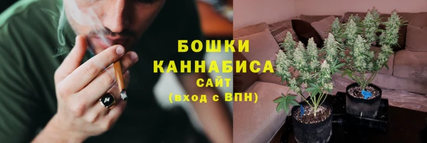 spice Горняк