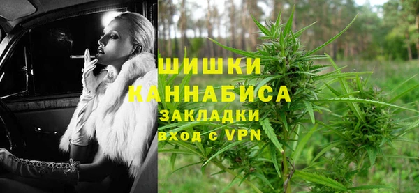 не бодяженный Горно-Алтайск