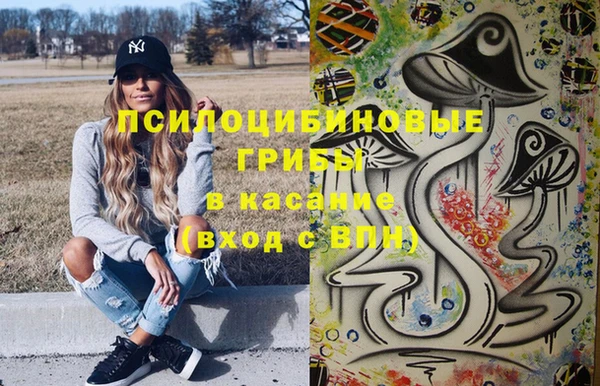 spice Горняк