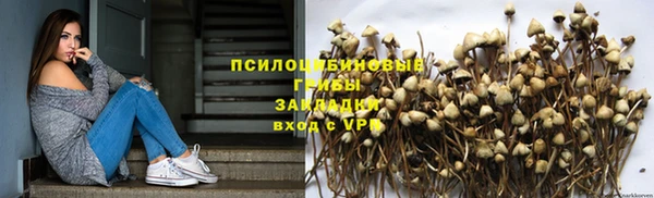 spice Горняк