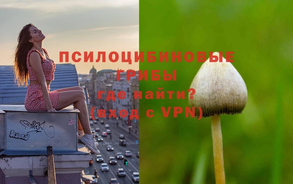 не бодяженный Горно-Алтайск