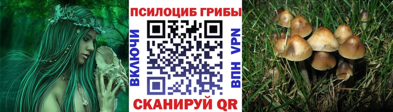 Купить  Никольское  Галлюциногенные грибы Magic Shrooms 